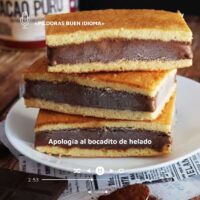 Apología al bocadito de helado
